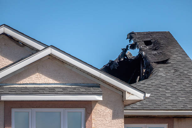 Licensed Board Up Services service in Longwood, FL - Fire Damage Laser Cleaning